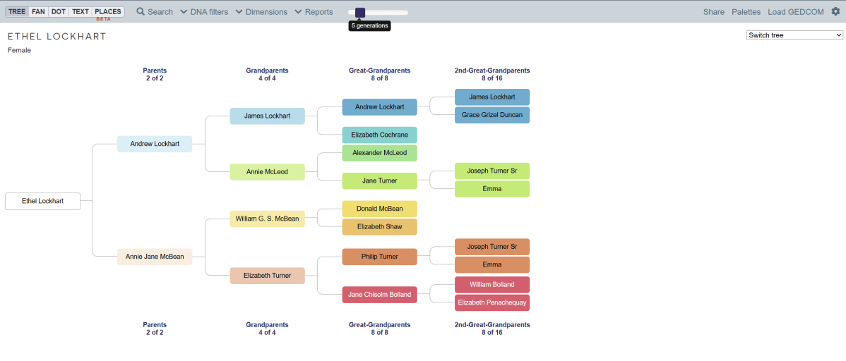 Ancestral Trees at DNA&nbsp;Painter